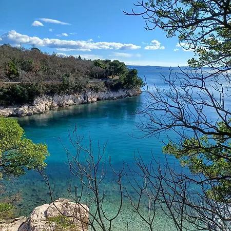 Glavan 코스트레나